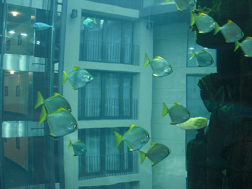 лифт-аквариум в отеле Берлина